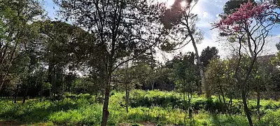 Maison neuve, 150 m²