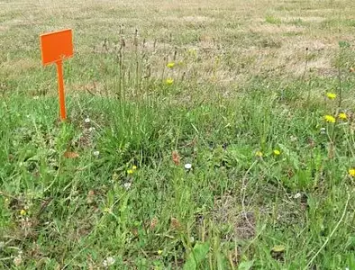 Terrain à bâtir, 875 m²