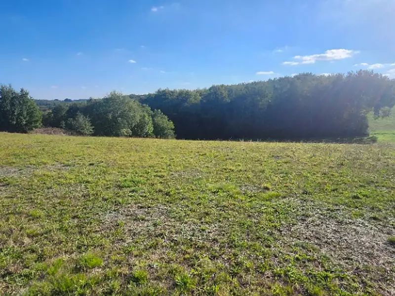 Terrain à bâtir, 1 970 m² - Beauvais-sur-Tescou (81630)