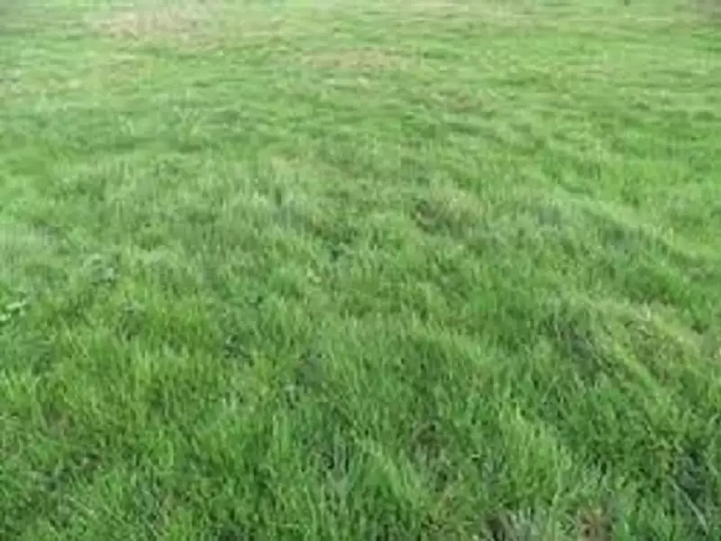 Terrain à bâtir, 874 m² - Ury (77760)