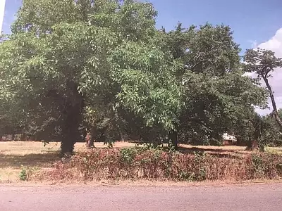 Maison neuve, 94 m²