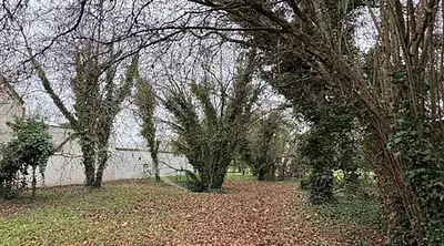 Maison neuve, 69 m²