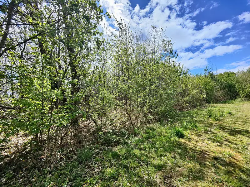 Terrain à bâtir, 1 100 m² - Marsac-sur-l'Isle (24430)