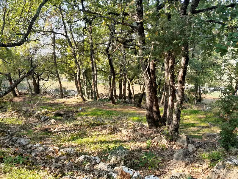 Maison neuve, 135 m² - Saint-Maximin-la-Sainte-Baume (83470)