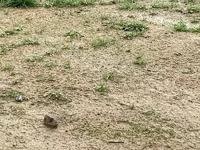 Terrain à bâtir, 419 m²