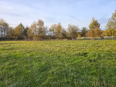 Terrain à bâtir, 919 m²