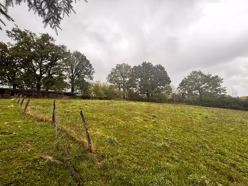 Terrain à bâtir, 3 500 m² - Sansac-de-Marmiesse (15130)