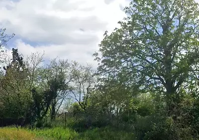 Maison neuve, 90 m²