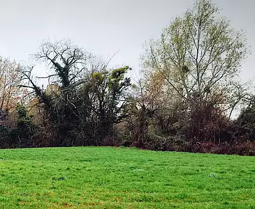 Terrain à bâtir, 812 m²