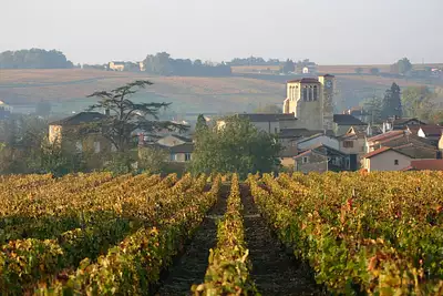 Terrain à bâtir, 700 m²