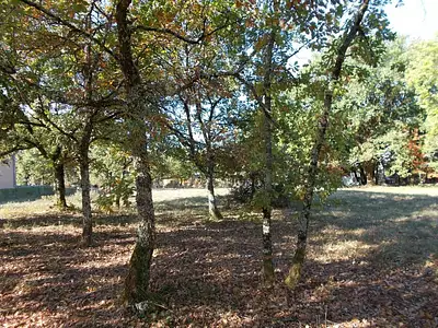 Maison neuve, 100 m²