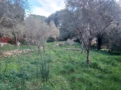 Terrain à bâtir, 970 m²