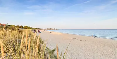 Terrain à bâtir, 319 m²