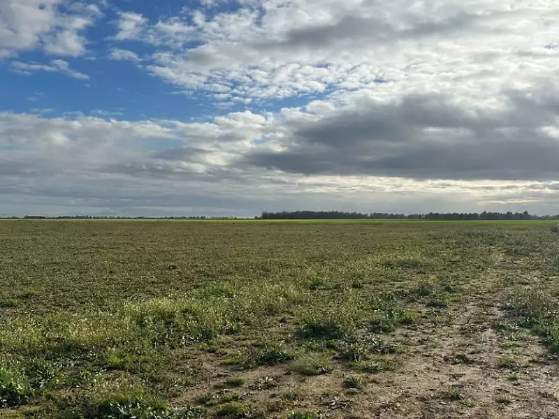 Terrain à bâtir, 425 m² - Creully sur Seulles (14480)