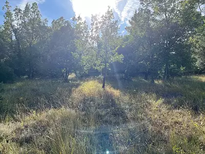 Terrain à bâtir, 900 m²