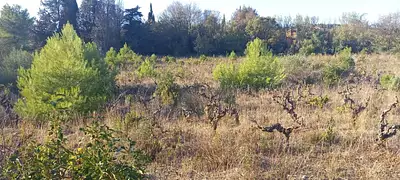 Maison neuve, 112 m²