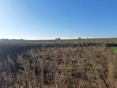 Terrain à bâtir, 446 m²