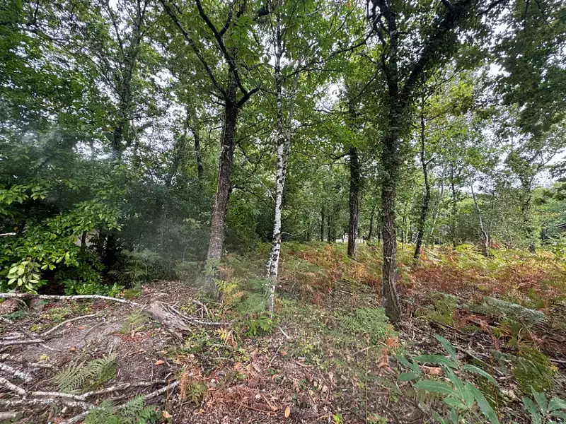 Terrain à bâtir, 2 019 m² - Grayan-et-l'Hôpital (33590)