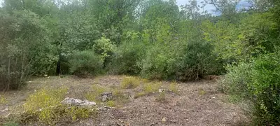 Terrain à bâtir, 1 131 m²