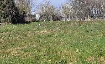 Terrain à bâtir, 449 m²