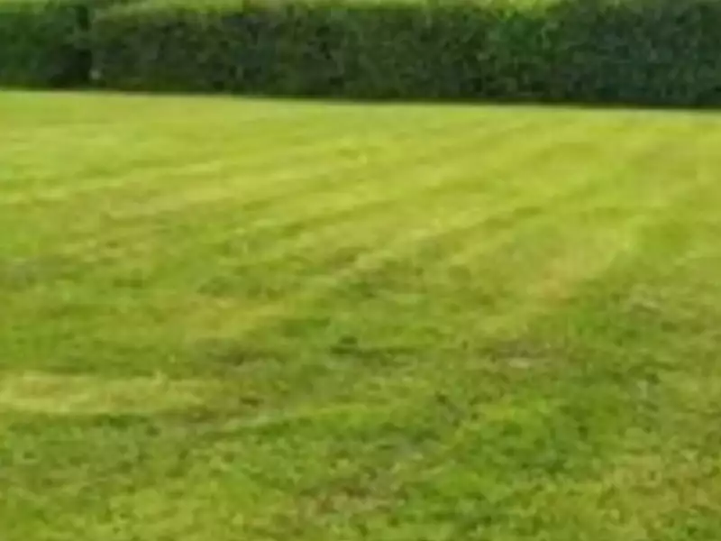 Terrain à bâtir, 950 m² - Le Thil-Riberpré (76440)