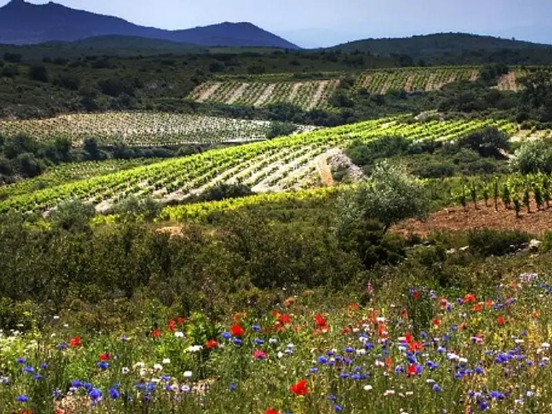 Terrain à bâtir, 780 m² - Baixas (66390)