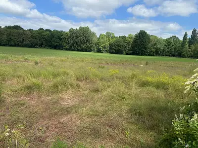 Terrain à bâtir, 507 m²