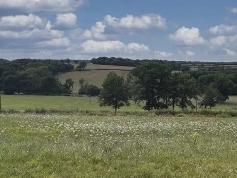 Terrain à bâtir, 2 121 m² - Molinet (03510)