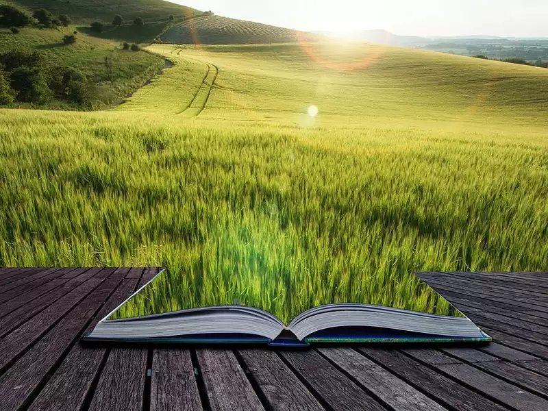 Terrain à bâtir, 1 319 m² - Chenay (79120)