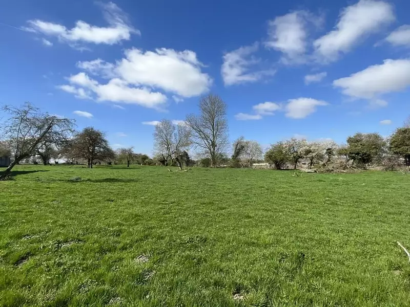 Maison neuve, 140 m² - Agnez-lès-Duisans (62161)