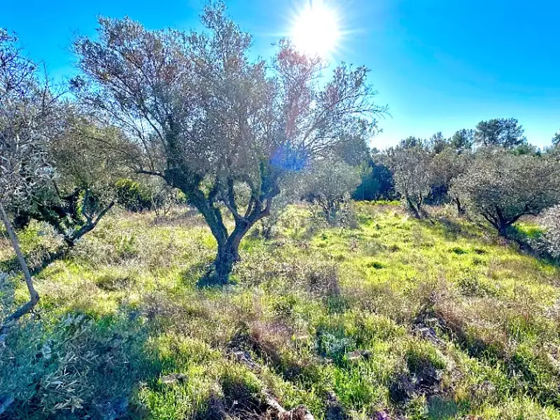 Maison neuve, 100 m² - Bagnols-en-Forêt (83600)