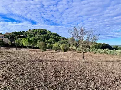 Terrain à bâtir, 334 m²