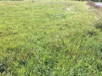 Terrain à bâtir, 425 m²