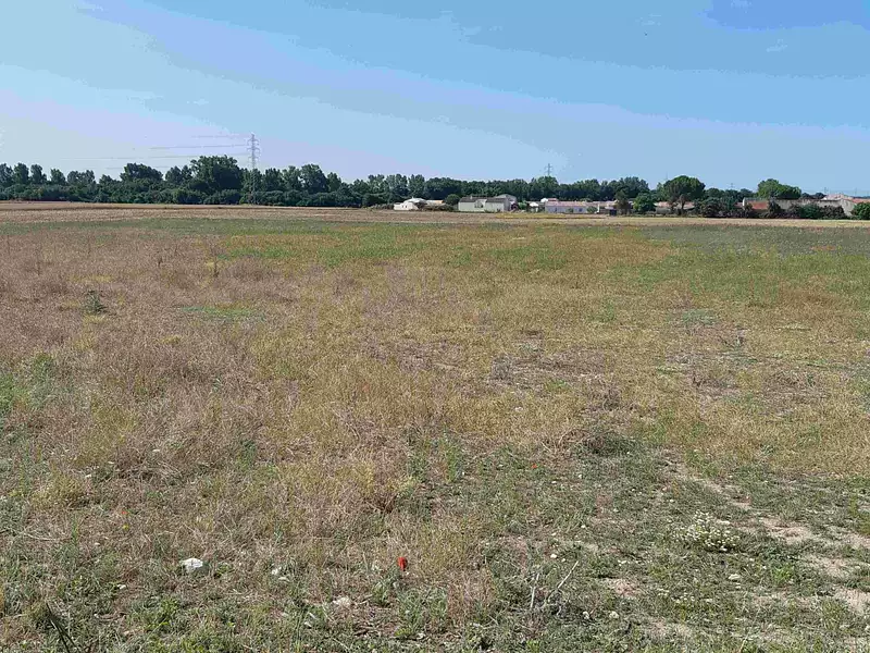 Maison neuve, 80 m² - Brem-sur-Mer (85470)
