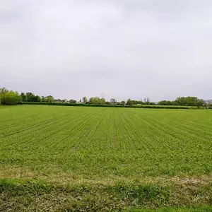 Terrain à bâtir, 792 m²