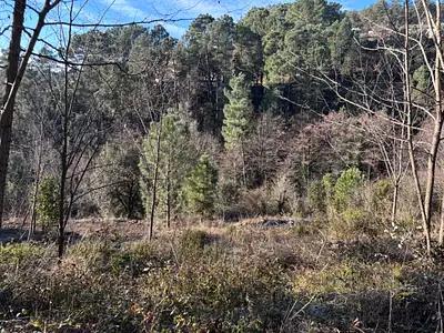 Terrain à bâtir, 4 000 m²