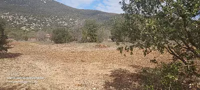 Terrain à bâtir, 900 m²