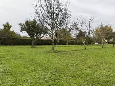 Maison neuve, 90 m²