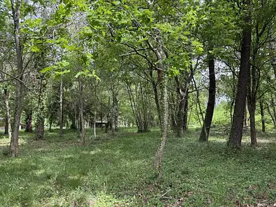 Terrain à bâtir, 1 535 m²