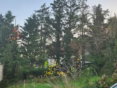 Terrain à bâtir, 530 m²