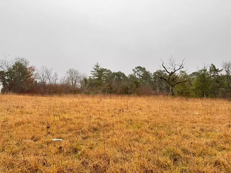 Terrain à bâtir, 1 500 m² - Sanilhac (24660)