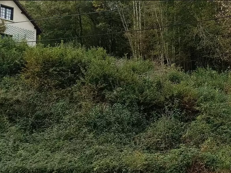 Terrain à bâtir, 1 766 m² - Malemort (19360)
