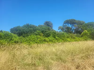 Maison neuve, 86 m²