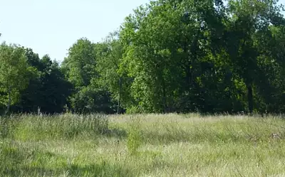 Terrain à bâtir, 398 m²