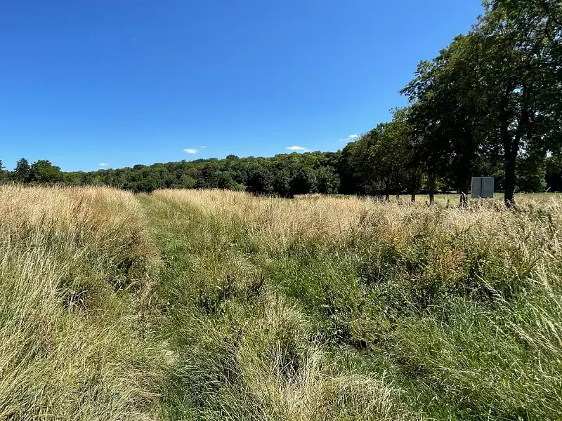 Terrain à bâtir, 994 m² - Crépy-en-Valois (60800)