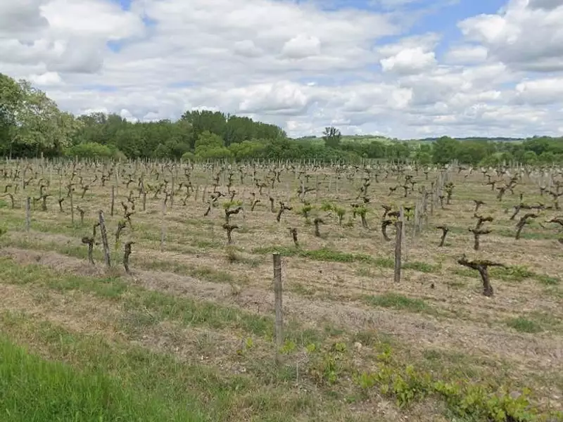 Terrain à bâtir, 850 m² - Virelade (33720)