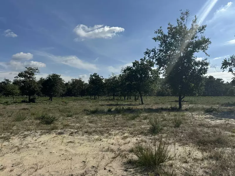 Terrain à bâtir, 2 213 m² - Vensac (33590)