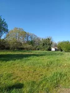 Terrain à bâtir, 974 m²