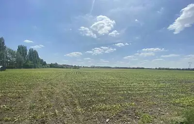 Maison neuve, 90 m²