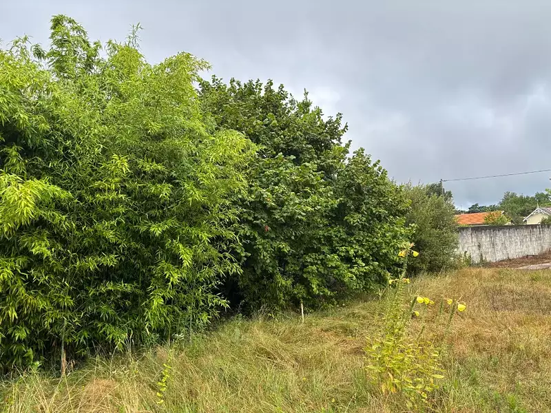 Terrain à bâtir, 520 m² - Andernos-les-Bains (33510)